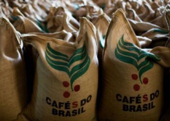 Exportações de café do Brasil alcançam 31,89 milhões de sacas e US$ 7,23 bilhões em oito meses