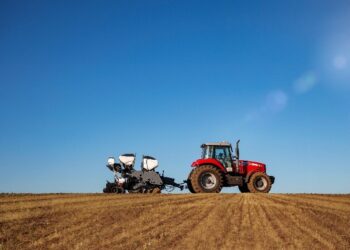 Produtores precisam de eficiência nas decisões para superar desafios do mercado