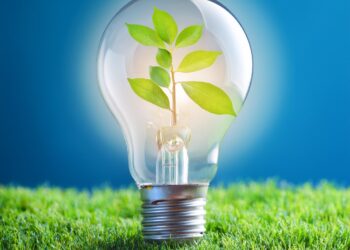 Investimentos chineses crescem 33% no Brasil em 2023, com foco em energias verdes e carros elétricos