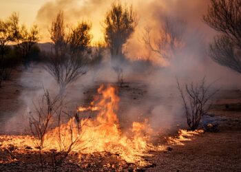 Ar seco, fumaça e muito calor no Brasil nesta quarta-feira (11), informa a Climatempo