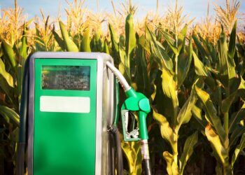 Estudo publicado na Revista Nature destaca benefícios do sistema produtivo do etanol de milho de segunda safra no Brasil