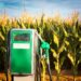 Estudo publicado na Revista Nature destaca benefícios do sistema produtivo do etanol de milho de segunda safra no Brasil