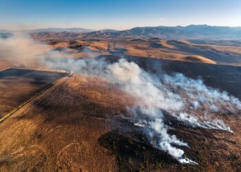 Fumaça de incêndios cobre o céu do Brasil e pode chegar à Argentina e ao Uruguai