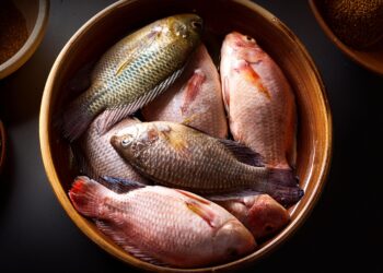 Tilápia: Oferta elevada e demanda enfraquecida mantêm pressão sobre cotações