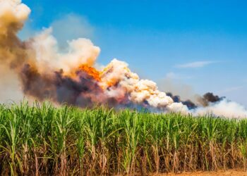 Estado de SP tem 9 cidades com focos ativos de incêndio