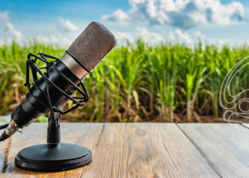 Visão Agro Talk aborda os impactos dos incêndios no interior de São Paulo