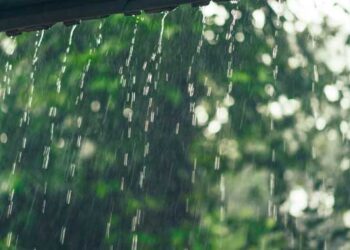 La Niña deve ser mais fraca este ano, diz climatologista