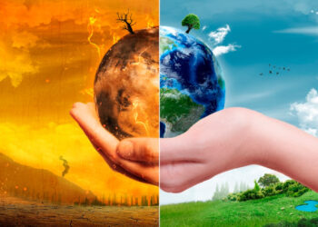 Crise do clima gera abertura de mercado para engenheiros ambientais