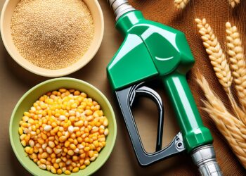 Copercampos inicia terraplanagem para construção de usina de etanol de cereais em SC