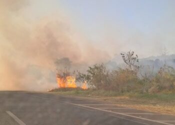 Produtoras e produtores rurais querem retirar o mato nas margens das rodovias para inibir os incêndios