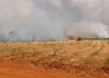 Incêndios em Minas Gerais afetam lavouras de cana-de-açúcar e outras culturas