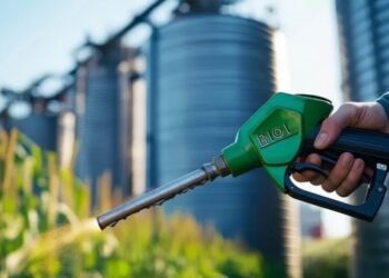 Nova lei deve disparar demanda por soja e dobrar produção de biodiesel no Brasil, diz Abiove