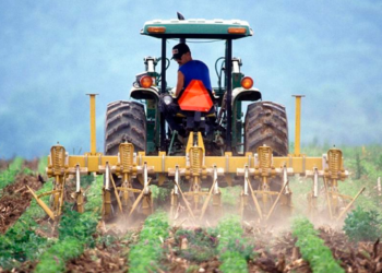 São Paulo lidera exportação agropecuária do Brasil em 2024