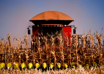 Mato Grosso lidera o agronegócio no Brasil: 36 dos 100 municípios mais produtivos estão no estado mato-grossense