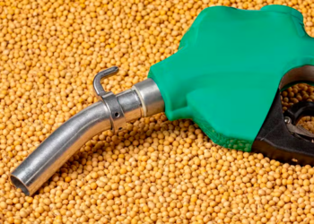 Combustível do Futuro pode fazer demanda por óleo de soja para biodiesel crescer 150%