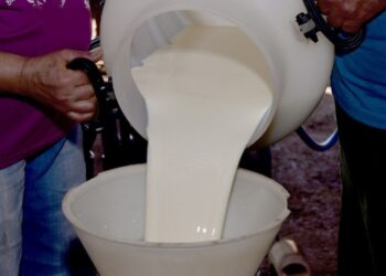 Preços do leite voltam a subir com oferta abaixo do esperado