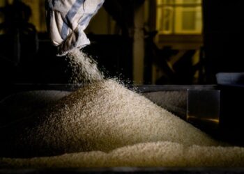 Demanda e exportação limitadas restringem a produção de arroz no Brasil