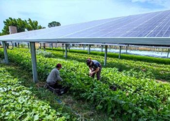 Agronegócio brasileiro: Uma oportunidade para a energia solar