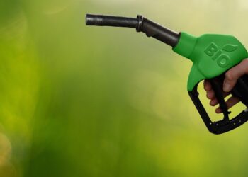 Aumento da mistura de biodiesel pode dobrar esmagamento de oleaginosas, afirma Abiove