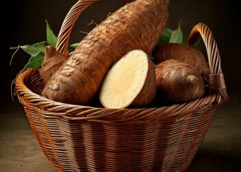 Mandioca: Com colheita ainda abaixo das expectativas, preço segue em alta