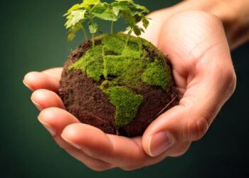 Brasil constrói consenso no G20 de energia e garante esforços para triplicar fontes renováveis