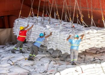 Brasil abre 20 novos mercados para produtos agropecuários em 6 países