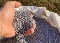 Possível alta no preço de fertilizantes: impactos e expectativas