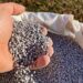 Possível alta no preço de fertilizantes: impactos e expectativas