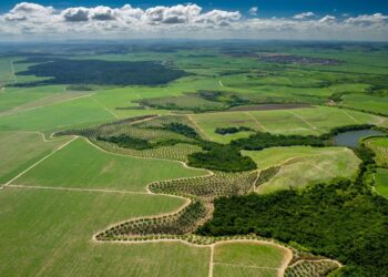 Projeto proíbe permanentemente desapropriação de propriedades rurais invadidas
