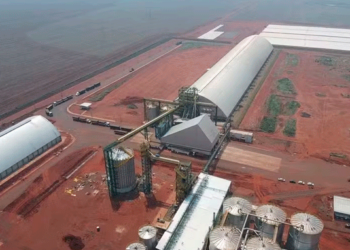 CerradinhoBio teve lucro de R$ 72 milhões no segundo trimestre da safra 2024/25