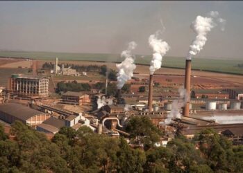 São Martinho prevê moagem de 22,2 milhões de toneladas de cana em 2024/25