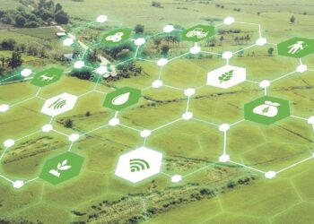 A importância da tecnologia na construção de um agronegócio sustentável