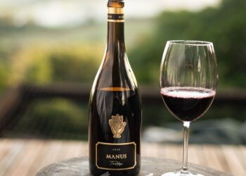 Vinho Teroldego brasileiro recebe a maior pontuação em guia especializado