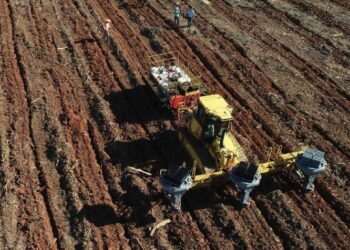 Máquinas semi-autônomas revolucionam o plantio florestal com alta produtividade