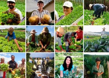 Senado aprova projeto que torna a agricultura familiar uma política permanente