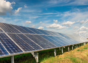 Energia solar impulsiona sustentabilidade no beneficiamento de sementes