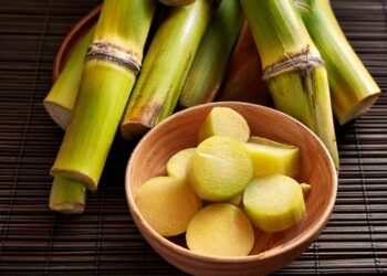 Produtividade da cana cai 20% em outubro em relação a safra passada, diz CTC