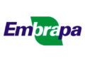 Embrapa atualiza sistema de logística e produção agrícola