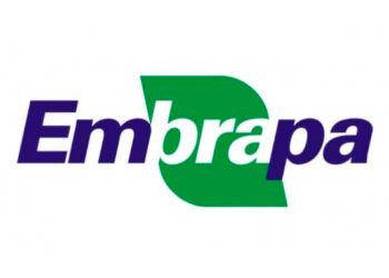 Embrapa atualiza sistema de logística e produção agrícola