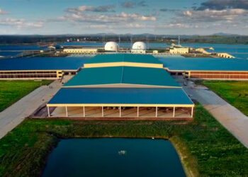 Número de fusões e aquisições de empresas do agro tem alta de 125%