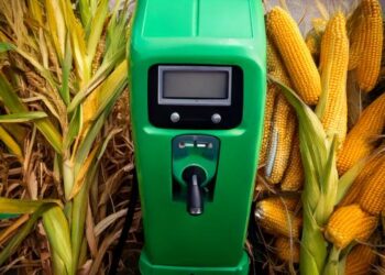 Etanol de milho ou cana-de-açúcar? Entenda a diferença e as vantagens