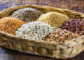 Conab projeta safra de grãos de 322,4 milhões de toneladas para 2024/25