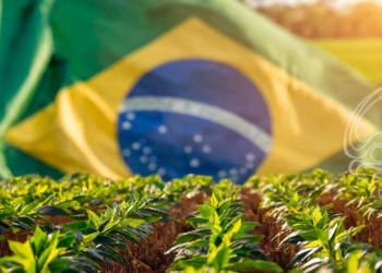 Marca histórica do agronegócio brasileiro destaca protagonismo na segurança alimentar global