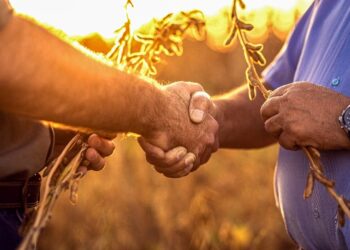 BASF e Opea anunciam nova captação de R$ 800 mi para FIDC