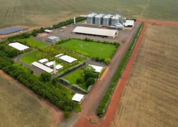 Grupo Progresso se une à BrasBio para investir R$ 1,2 bilhão em etanol de milho