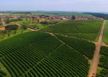 Agronegócio dispara e de novo deve sustentar saldo comercial com US$ 126,8 bilhões