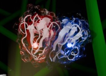 Nova enzima pode revolucionar produção de biocombustíveis, acreditam pesquisadores