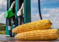 Safra 2025-2026 terá menos etanol de cana e mais de milho