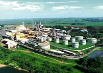 Usina Colombo está em busca de um novo diretor-presidente