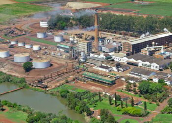 São Martinho é multada em R$ 5 milhões por danos coletivos a trabalhadores idosos